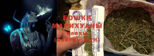 тгк Инта
