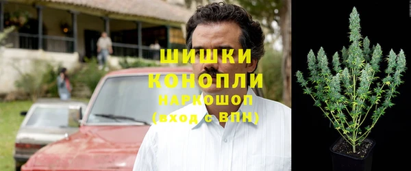 сатива Иннополис
