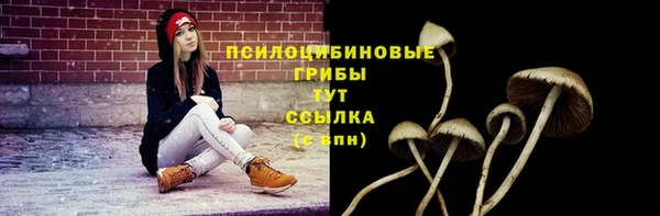 герыч Инсар