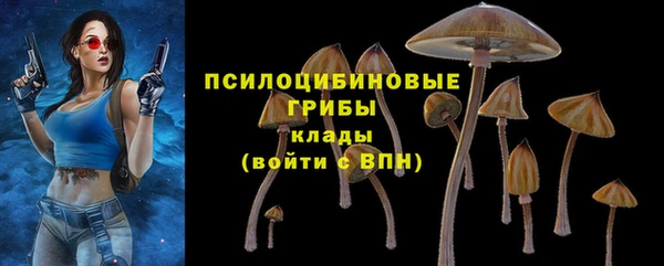 сатива Иннополис