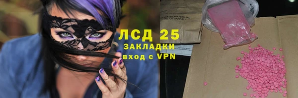 сатива Иннополис