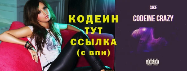 тгк Инта