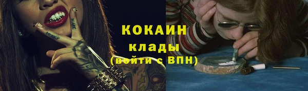 сатива Иннополис