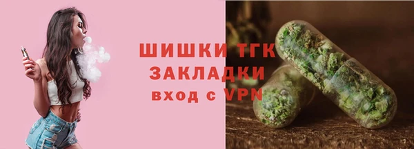 тгк Инта