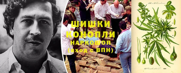 тгк Инта