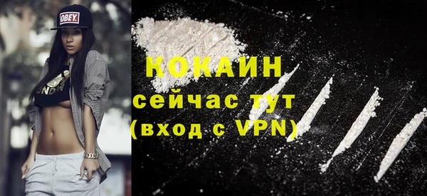 сатива Иннополис