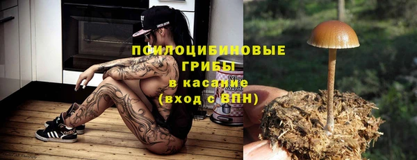 тгк Инта