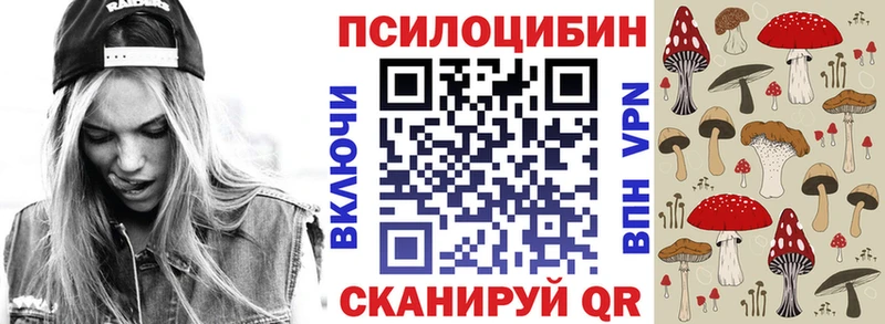Купить где  Североморск  Псилоцибиновые грибы Psilocybe 